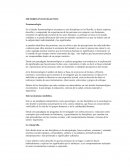 Métodos investigativos. Fenomenología