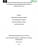PROPUESTA DE AUDITORIA INTERNA PARA EL AREA DE PRDUCCION EN LA EMPRESA LA GRANJA BURGUER