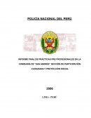 INFORME FINAL POLICÍA NACIONAL DEL PERÚ
