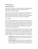 Marco conceptual pymes