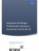 Evaluación de Riesgos Profesionales (Arneses y Accesorios S de RL de CV)