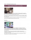 Estrategias de precios y valor