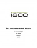 Ética profesional y derechos Humanos