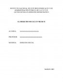 EL DERECHO SOCIAL EN MEXICO