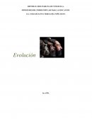 Evolución