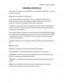 ANALISIS CASO PEN S.A