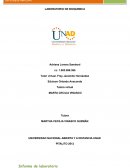 LABORATORIO DE BIOQUIMICA