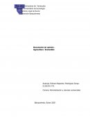 Agricultura sostenible