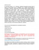 Mediadores quimicos secundarios