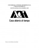 La contaminacion ambiental desde el entorno economico