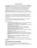 La estrategia tecnológica