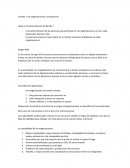 Apuntes las organizaciones y las personas