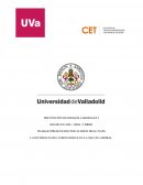 LA INCIDENCIA DEL CORONAVIRUS EN LA SALUD LABORAL