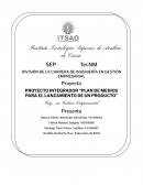 PROYECTO INTEGRADOR “PLAN DE MEDIOS PARA EL LANZAMIENTO DE UN PRODUCTO”