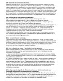 Un día típico en la vida de Natalie Anderson