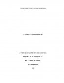ENSAYO CRITICO DE LA EDAD MODERNA