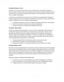 Estrategia liderazgo en costos