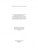 Casos Derechos Constitucionales y Acciones