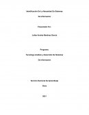 Identificación De La Necesidad De Sistemas