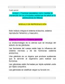Practicas saludables como medida de prevención de los principales problemas de salud en la adolescencia en México