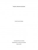 Especialización en gerencia de proyectos