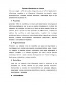 Patrones inflamatorios en citología