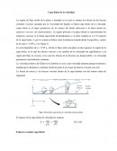 Capa límite de la velocidad