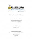 Informe Sobre El Caso Interbolsa A La Luz De La NIA 240