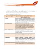 INFORME EJECUTIVO EVIDENCIA 1 AUDITORIA DE CALIDAD SENA