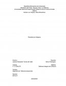 Resistencia Indigena