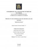 PRODUCTO DE EXPORTACION DE MICHELADA DE MANGO “MICHELENGO”