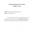 Informe de la Práctica “Cartaboneo de pasos”