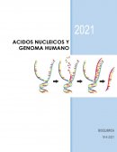 Acidos nucleicos y genoma humano
