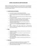 Origen y evolucion del constitucionalismo