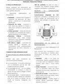 Publicidad y Relaciones Públicas