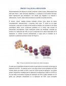 CÁNCER Y FALLAS EN LA REPLICACIÓN