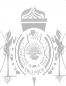 SER MAESTRO RELFEXIÓN