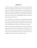 INFORME FINAL DE RESPONSABILIDAD SOCIAL