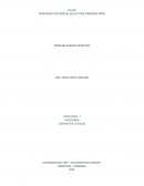 TALLER DIMENSION PSICOSOCIAL EN LOS TRES PRIMEROS AÑOS