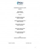 FUNDAMENTOS DE SERVICIO AL CLIENTE (GRUPO 1)