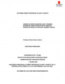 DICTAMEN RUBRO PROPIEDAD PLANTA Y EQUIPO