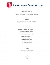 DERECHO CONSTITUCIONAL TRIBUTARIO. Página 1