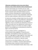 Diferencias morfológicas entre el ajo común