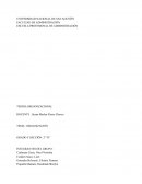 ORGANIZACIÓN. Caso: Coca Cola, Apple, DHL