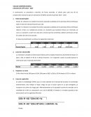 Valorización Volcan