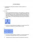 Actividad sobre el carbono y cadena de hidrocarburos