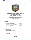 CIRCUITOS ELÉCTRICOS INFORME DE LA PRÁCTICA N° 4