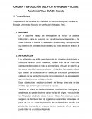ORIGEN Y EVOLUCIÓN DEL FILO Arthropoda – CLASE Arachnida Y LA CLASE Insecta