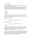 Función de producción