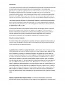 Responsabilidad ambiental corporativa